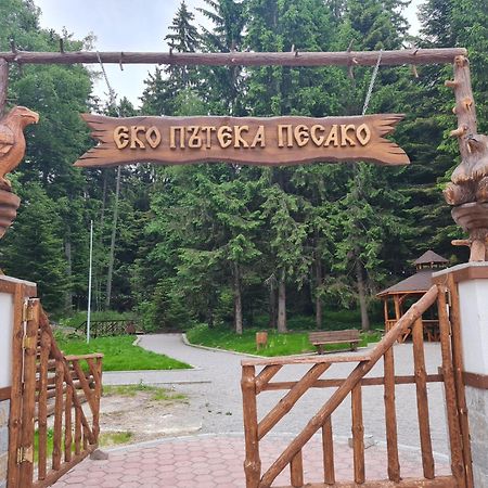 Mountain Paradise In Aparthotel Borovets Gardens Esterno foto