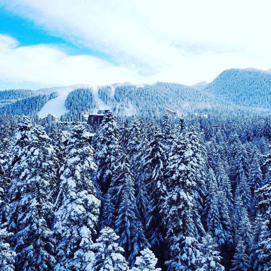 Mountain Paradise In Aparthotel Borovets Gardens Esterno foto